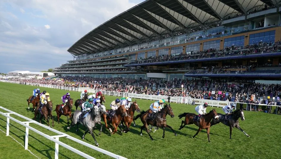 肯塔基德比竞猜特辑 - 皇冠网