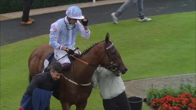 凯旋之光 - 马匹血统 - 皇冠网