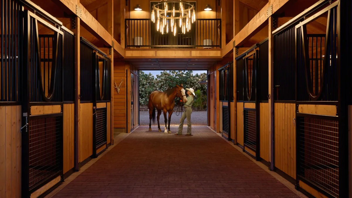 2026年种马排行榜与配种趋势 - 皇冠网