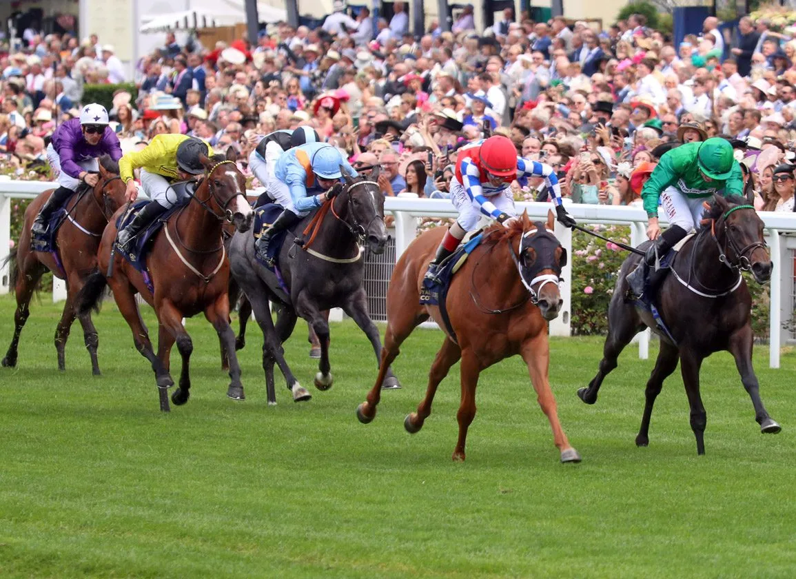 体育竞猜 - 骏马传奇 - 皇冠网