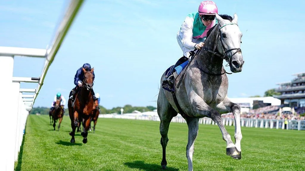 今日焦点赛事头号热门 - 赛马分析 - 皇冠网